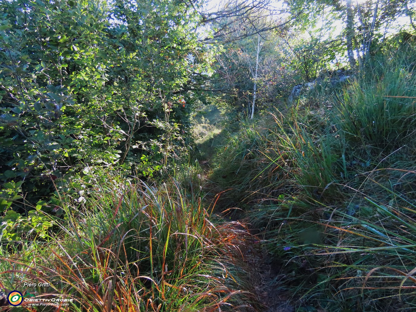 21 Arriva il sole ad asciugare l'erba bagnata di rugiada.JPG